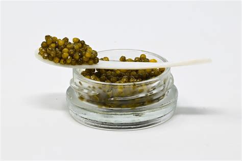 N25 Caviar – Four Star Seafood and Provisions.